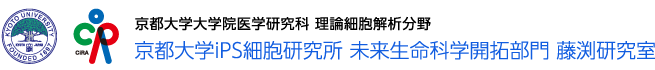 京都大学iPS細胞研究所 未来生命科学開拓部門 藤渕研究室